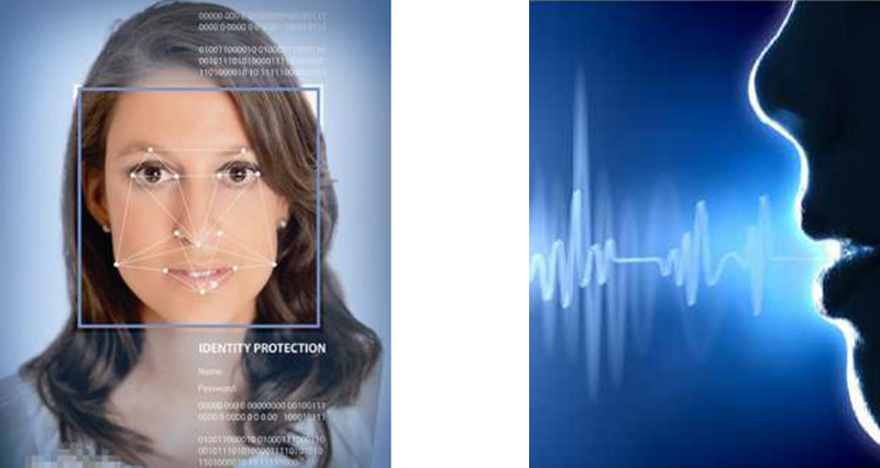 偷自视频区丁月五香天最