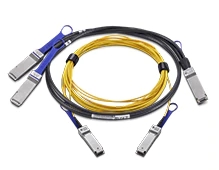 偷自视频区丁月五香天最