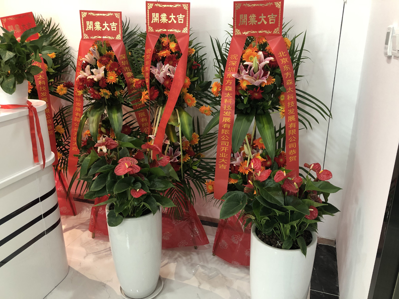 偷自视频区丁月五香天最