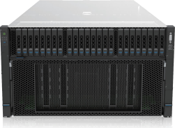 偷自视频区丁月五香天最